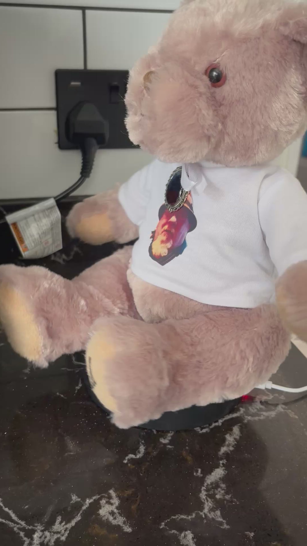 Personalised photo recording bear can add ashes / hair birthday memorial gift keepsake